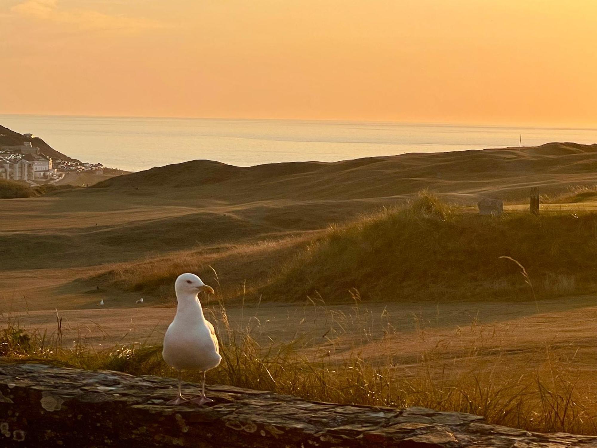 Perranporth Golf Club Self-Catering Holiday Accommodation Luaran gambar